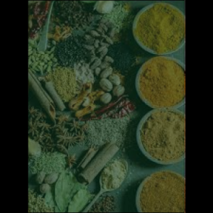 masala_original_copy_2_copy_1_copy_1_copy_1